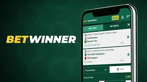 BetWinner Gambling Platform Your Ultimate Betting Experience 2096599017 BetWinner Gambling Platform Your Ultimate Betting Experience 2096599017