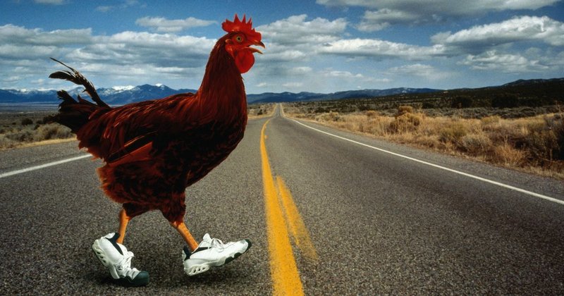 Chicken road españa - Descubre el emocionante juego de ruleta en línea de Chicken Road en España